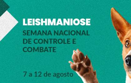 Araçatuba realiza ações educativas de combate à Leishmaniose