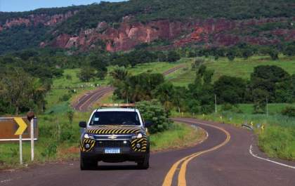 Estrada Viva amplia ações em rodovias para reduzir acidentes com animais silvestres