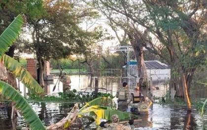 Polícia Federal combate a caça ilegal de onça-pintada no Pantanal