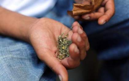 K9: Saiba como a “droga zumbi” afeta o cérebro