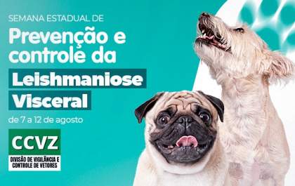 Birigui orienta moradores sobre prevenção e controle da leishmaniose&nbsp;