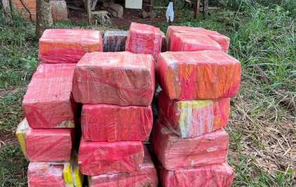 PF e Polícia Civil apreendem 600 kg de maconha