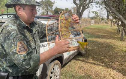 Homem é autuado em R$ 9.500 por manter em cativeiro espécies a fauna silvestre