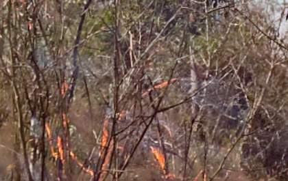 Incêncio no bairro Beira Rio em Castilho deixa rastros de destruição