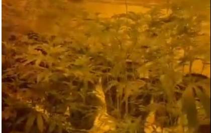 PM recolhe saco com maconha em caçamba na frente de casa usada para cultivo da erva