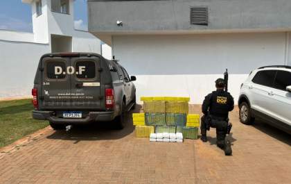 Mais de 160 quilos de drogas são apreendidos pelo DOF em Brasilândia