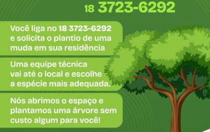 Meio Ambiente lança Disk Árvore em Setembro