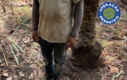 Força-tarefa resgata 3 trabalhadores em condições análogas às de escravo em olaria em Penápolis