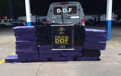 DOF apreende quase meia tonelada de maconha em plantação de milho, em Amambai