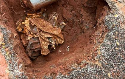 Ossada humana é identificada e Polícia Civil esclarece desaparecimento de mulher em Rio Brilhante