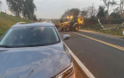 Árvore cai sobre carro com família durante vendaval em Araçatuba