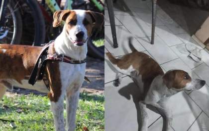 Budy foi encontrado, mas família ainda procura por Mailon