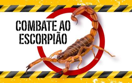 Prefeitura de Birigui intensifica ações contra acidentes com escorpiões