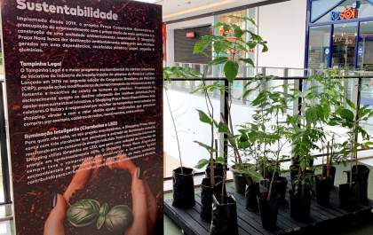 Shopping de Araçatuba celebra o Dia da Árvore com ações de conscientização e diversão
