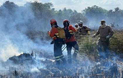Bombeiros buscam animais em combate a incêndios em MS