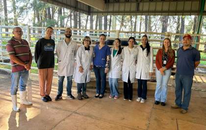 Faculdade de Medicina Veterinária de Araçatuba é considerada livre de brucelose e tuberculose