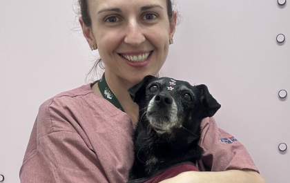 Clínica Meu Pet promove Outubro Rosa Pet