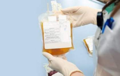 Hemosul realiza o primeiro envio de plasma para medicamentos ao Hemobrás