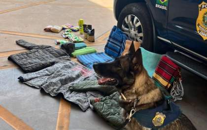 Com auxílio de cão farejador, PRF apreende cocaína misturada ao tecido de roupas