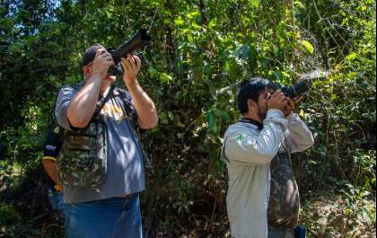 Parque do Pombo será um dos locais de MS em que pesquisadores estarão para o Global Big Day de observação de aves