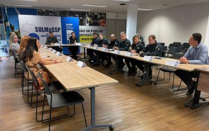 MS cria grupos de trabalho com mais 4 estados para discutir legislação e formas de combate ao crime