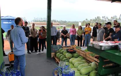 Justiça de MS foca em doação de alimentos a partir do trabalho prisional com horta
