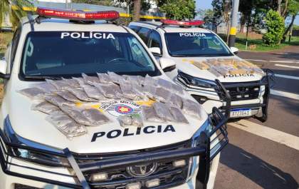 Mulher é presa transportando maconha e skank em ônibus