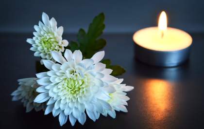 Procon realiza pesquisa de preços de flores e velas para Dia de Finados