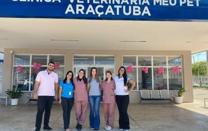 Exames apontam nódulos em 90% das cadelas e gatas atendidas no Outubro&nbsp;Rosa&nbsp;Pet