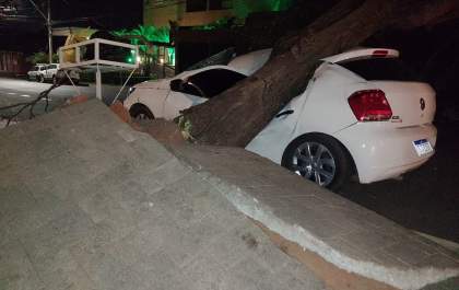 Árvore cai sobre carro em rua no bairro Sumaré em Araçatuba