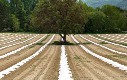 A revolução sustentável da agroecologia