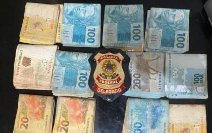 PF combate crimes ambientais e contra a União