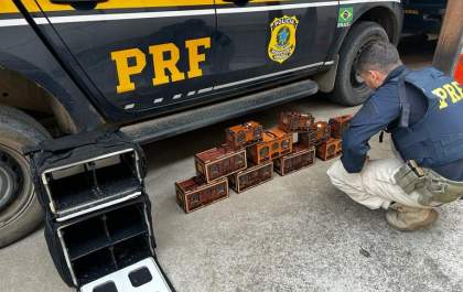 PRF resgata pássaros silvestres dentro de automóvel