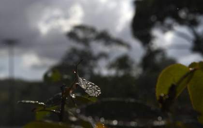 MS deve enfrentar tempestades entre quinta e sábado, alerta meteorologia