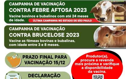Campanhas contra a Aftosa e Brucelose são prorrogadas