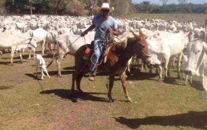 Pecuarista de Mato Grosso do Sul morre engasgado com pedaço carne em festa de casamento