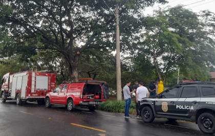 Polícia Civil faz buscas por arma usada em assassinato