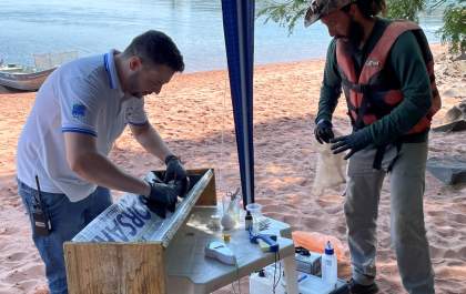 CESP realiza marcação de peixes para monitorar período reprodutivo de espécies nativas do rio Paraná