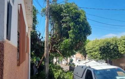 Clientes ficam sem internet&nbsp; e telefone após cabos serem cortados durante poda de árvores