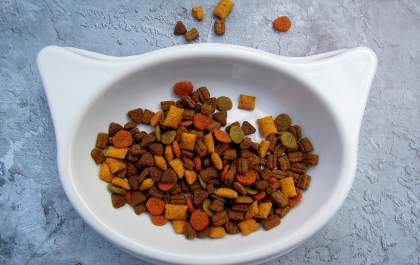 As vantagens de uma dieta balanceada e natural para os pets