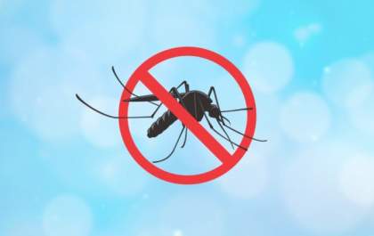 Dia D Municipal de Combate ao Aedes aegypti acontece nesta quarta-feira (13)