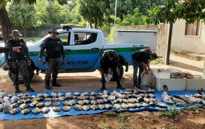 Policiais apreendem mais de 100 pescados irregulares em Aquidauana