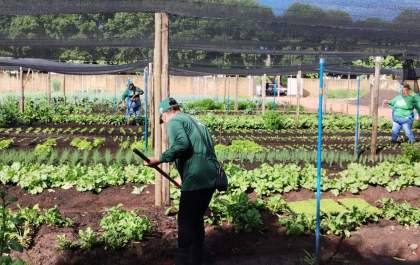 Com apoio da Suzano, projeto de hortas urbanas colabora para o empoderamento de mulheres em Três Lagoas