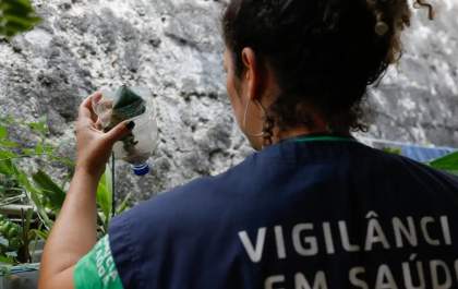 Dengue: o perigo que pode estar ao redor