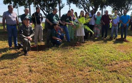 Três Lagoas inicia projeto de arborização com o plantio de 1.000 árvores
