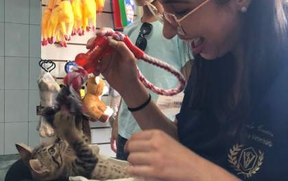 Prevenção da saúde animal: saiba como manter seu pet saudável