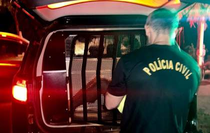 Polícia Civil prende autor de violência doméstica em Caarapó