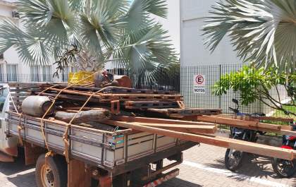 Polícia Civil de Araçatuba prende homem com madeiras furtadas de cerca de propriedade em Guararapes
