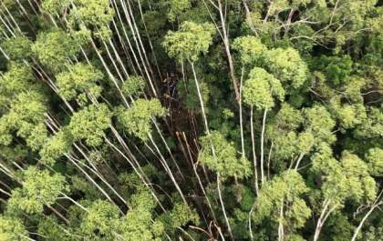 PM encontra helicóptero desaparecido há 12 dias em São Paulo