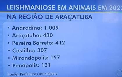 Andradina lidera ranking de cidade com maior número de leishmaniose da região de Araçatuba